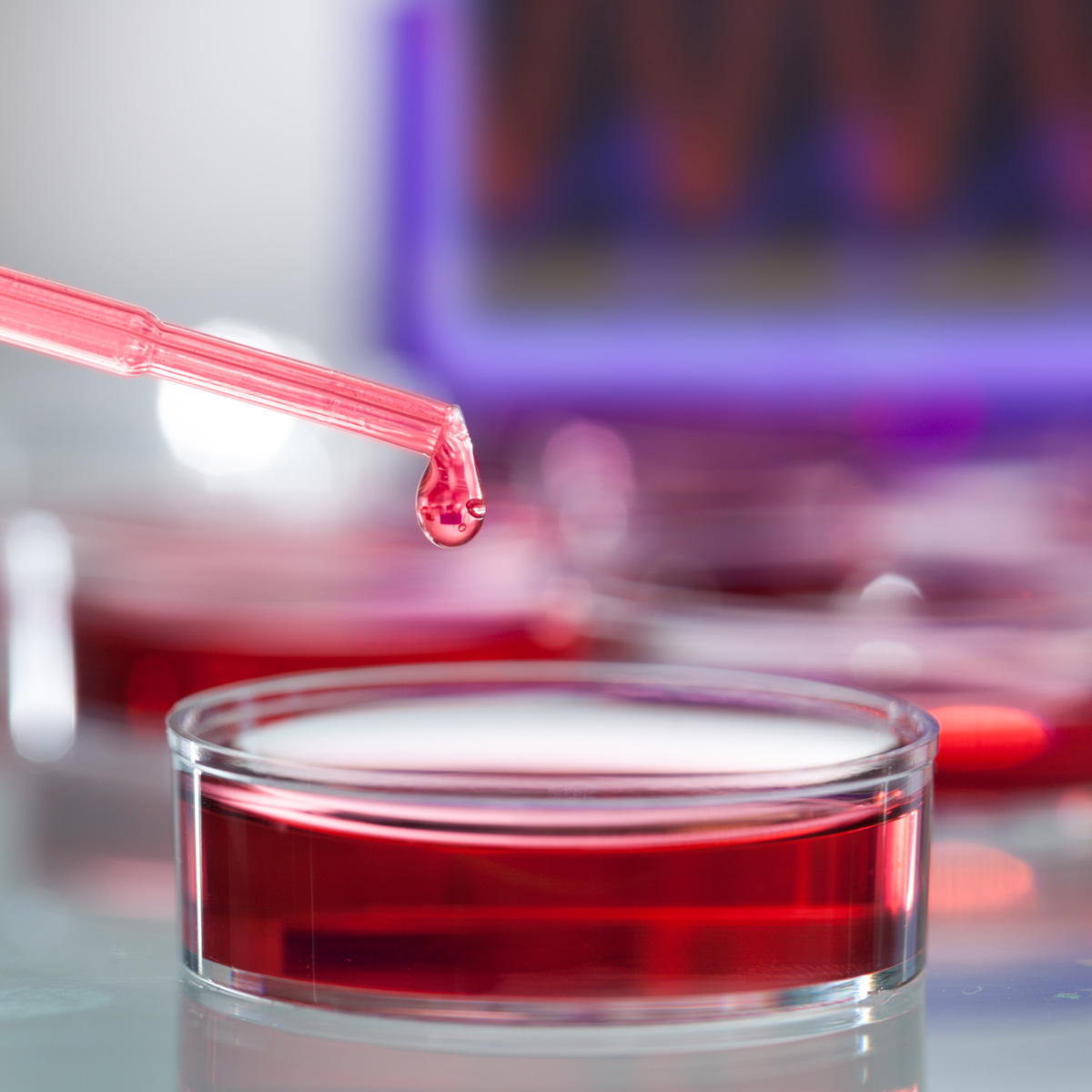 Calibration Services – AlSolve